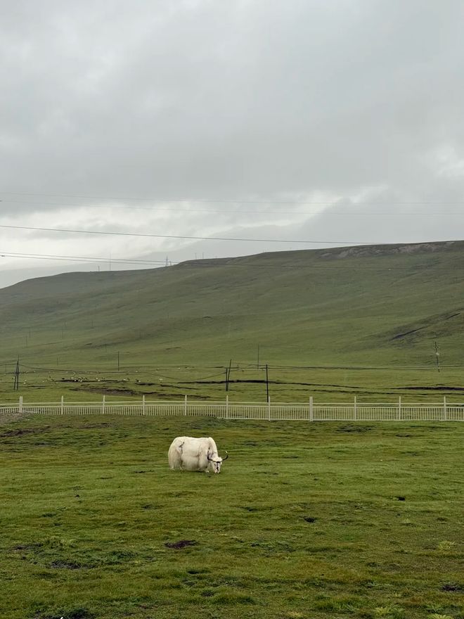 这份甘青大环线最佳路线图与深度旅游攻略不朽情缘平台网站青甘大环线怎么玩？收藏(图3)