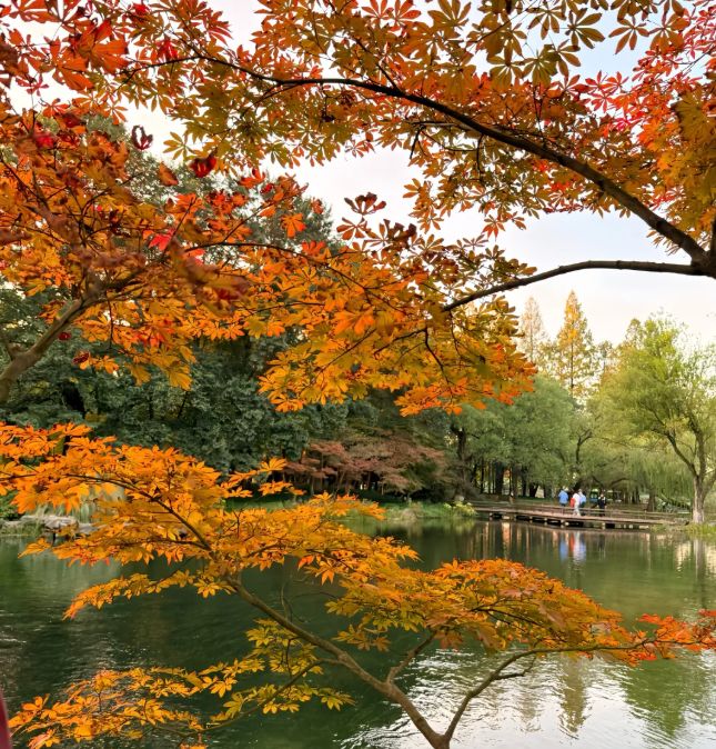 10 出炉：远胜游998分登顶避坑指南收好不朽情缘网站2025杭州靠谱旅行社TOP(图2)