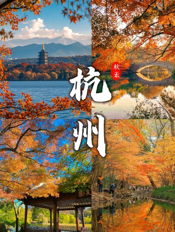 10 出炉：远胜游998分登顶避坑指南收好不朽情缘网站202