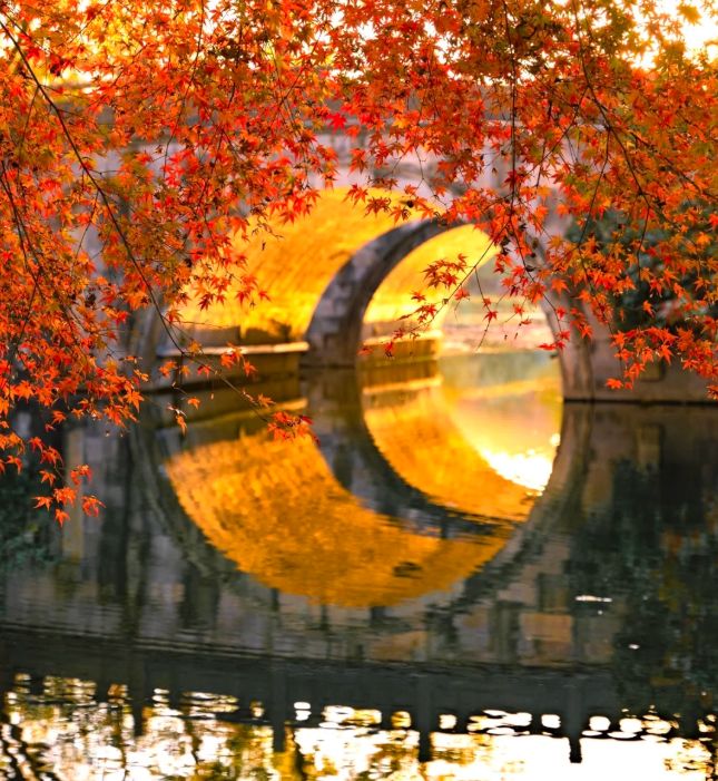 10 出炉：远胜游998分登顶避坑指南收好不朽情缘网站2025杭州靠谱旅行社TOP(图5)